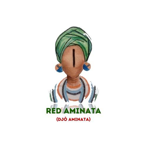 Logo Aminata Asociación